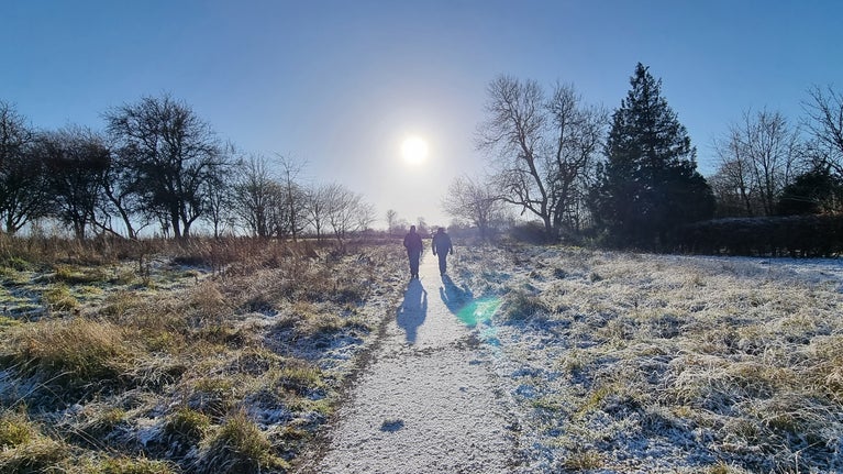 Visitors on a guided walk, head up to the orchard through heavy frost on a sunny winters day.